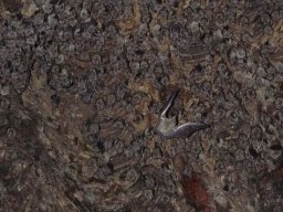 283102_10150257959344901_4467601_n